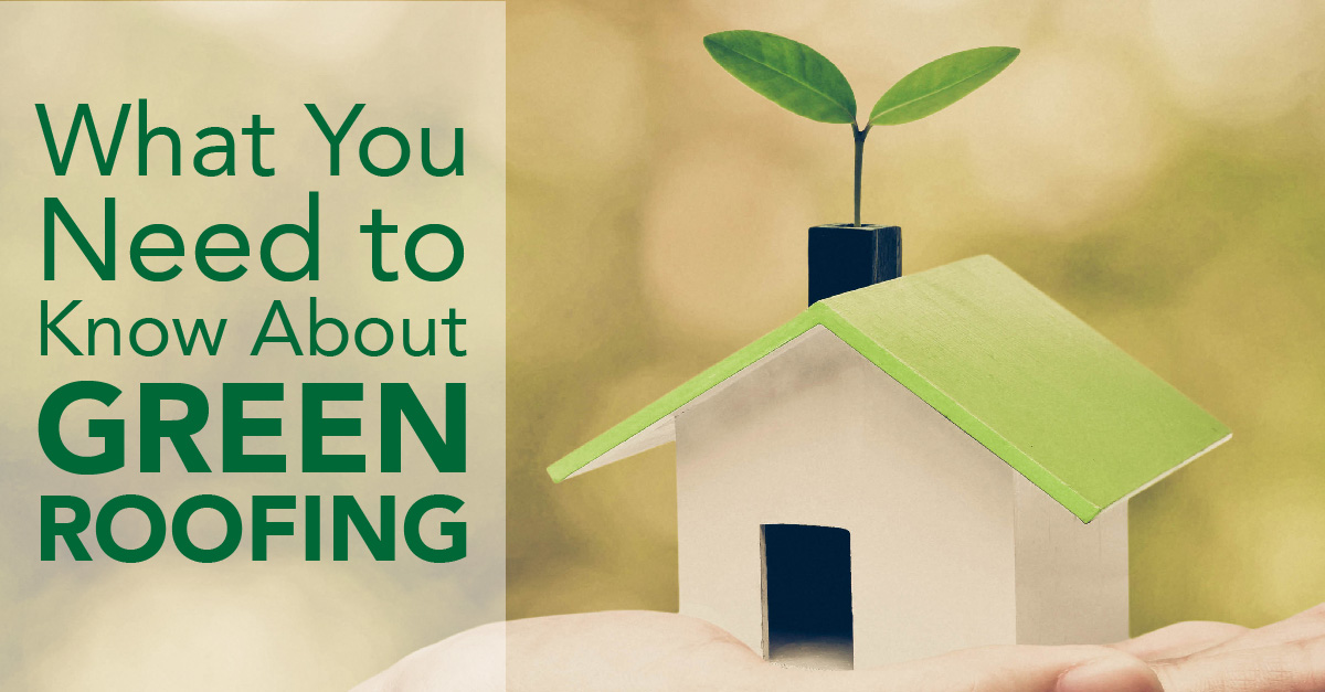 BLOG WUN2KAGreenRoofing 01